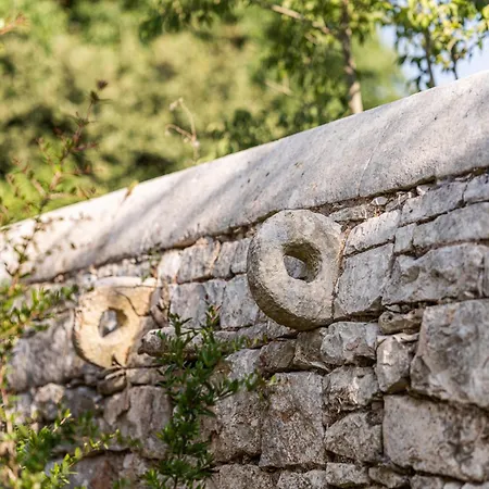 Masseria Il Pergolo Affittacamere *